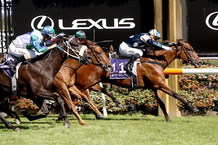 COOLANGATTA winning the Black Caviar Lightning