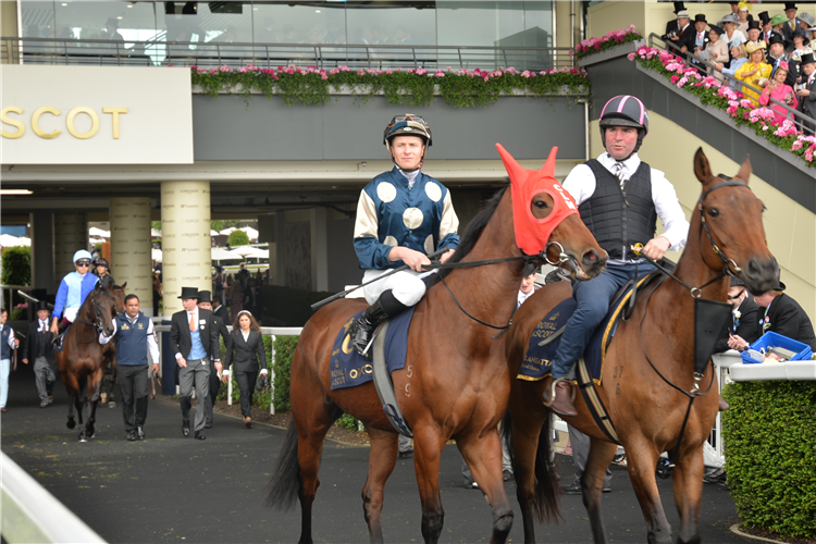 COOLANGATTA prior to the 2023 King's Stand Stakes at Royal Ascot in England.