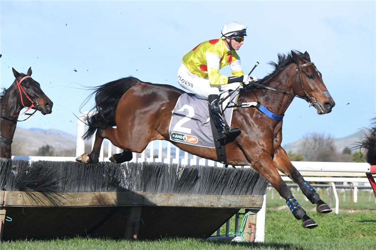 COUNTRY BUMPKIN winning the BIRCHLEIGH POLO CLUB MAIDEN HURDLE