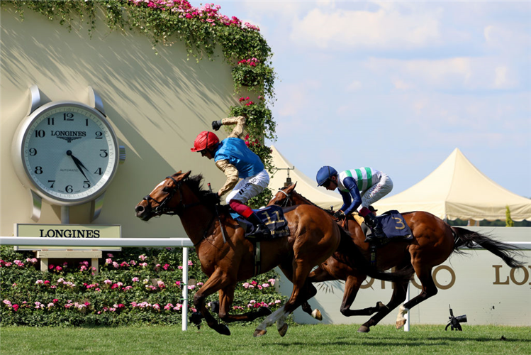 COURAGE MON AMI winning the Gold Cup at Ascot in England.