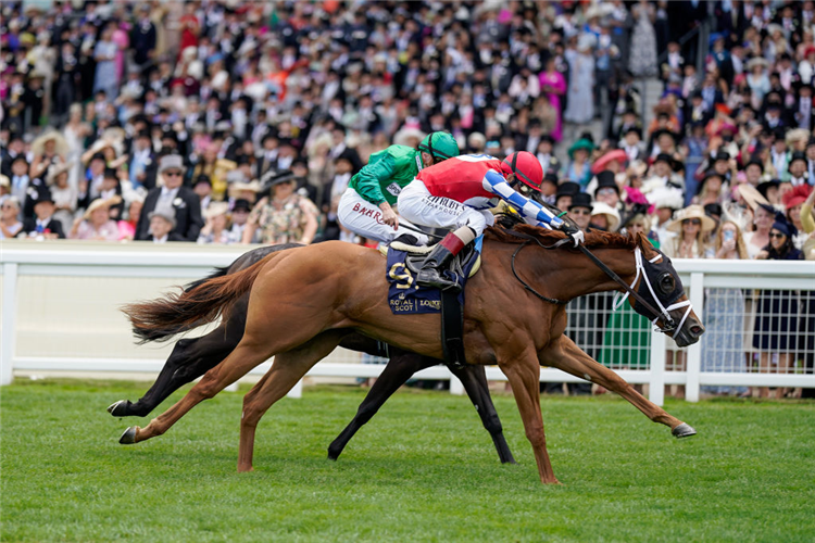 CRIMSON ADVOCATE (red cap) winning the Queen Mary Stakes at Ascot in England.