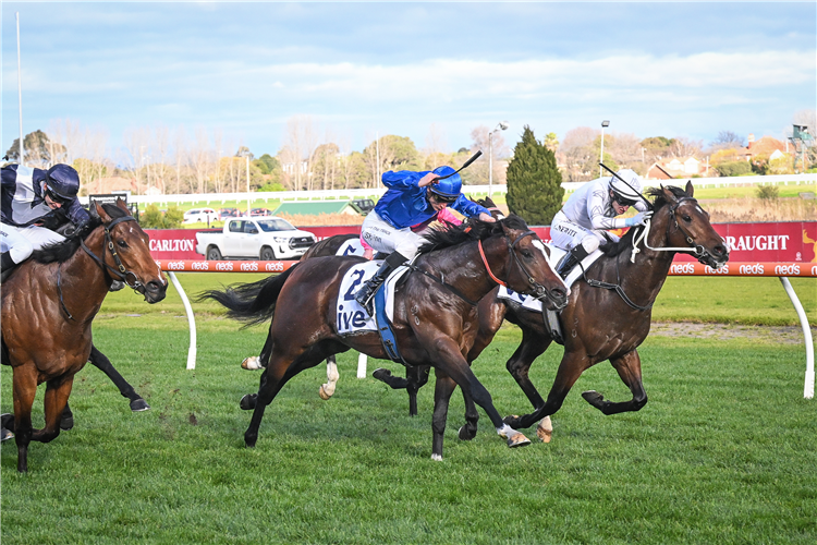 CYLINDER winning the ive > Vain Stakes at Caulfield in Australia.