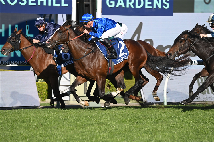 CYLINDER winning the JAMES SQUIRE RUN TO THE ROSE at Rosehill in Australia.