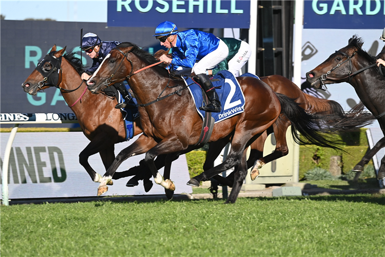 CYLINDER winning the JAMES SQUIRE RUN TO THE ROSE at Rosehill in Australia.
