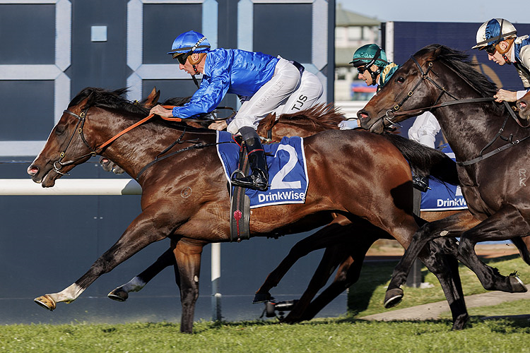 CYLINDER has the Coolmore Stud Stakes in his sights