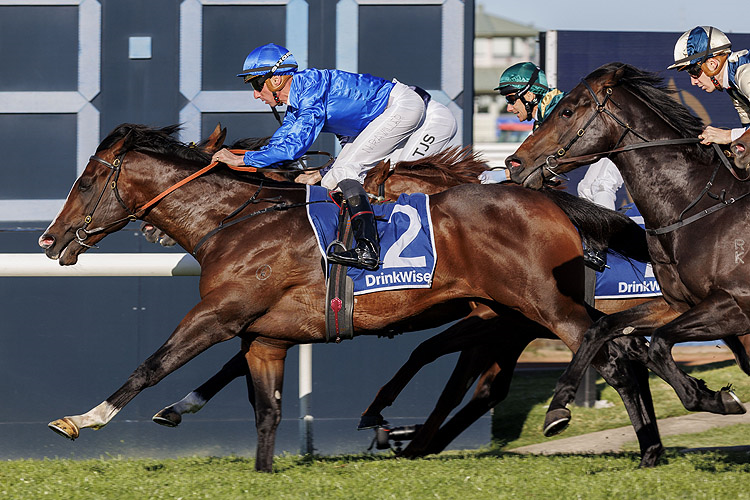 CYLINDER winning the JAMES SQUIRE RUN TO THE ROSE