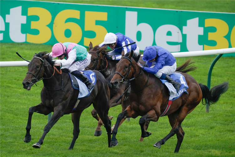DANCE SEQUENCE (blue cap) winning the Oh So Sharp Stakes at Newmarket in England.