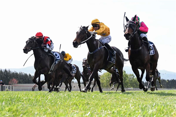 Gr.1 Al Basti Equiworld Dubai New Zealand 2000 Guineas (1600m) hopeful Danjuro (centre).