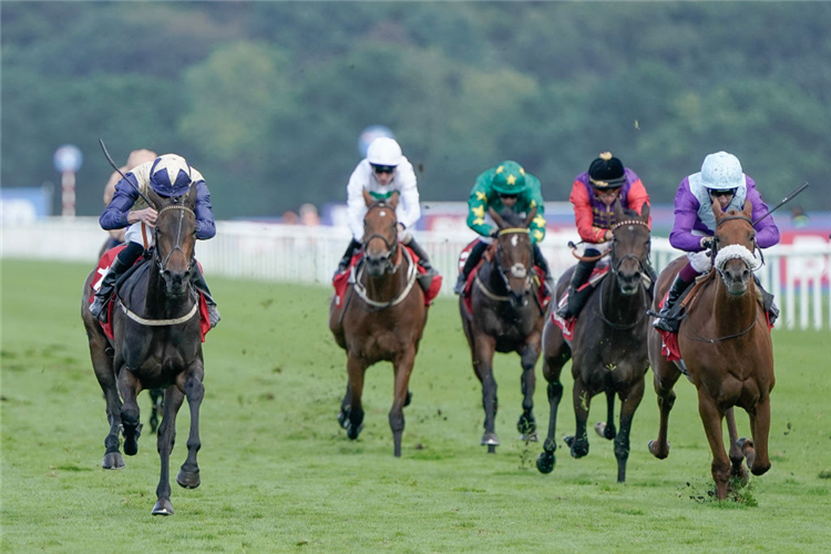 DARNATION (left) winning the May Hill Stakes at Doncaster in England.