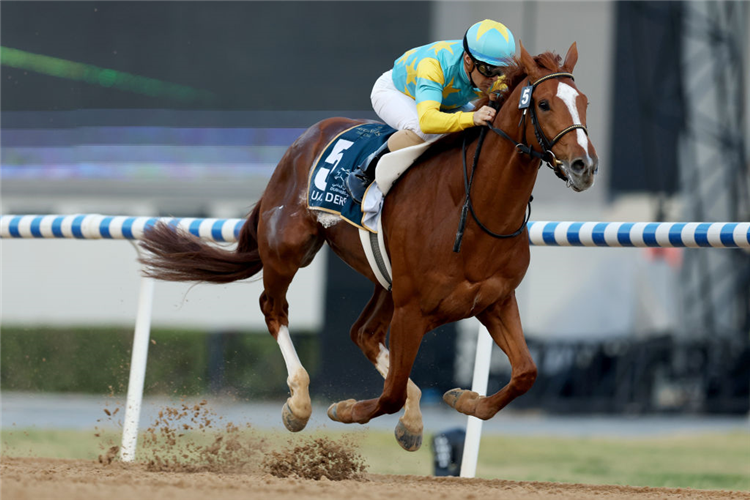 DERMA SOTOGAKE winning the UAE Derby at Meydan in Dubai, United Arab Emirates.