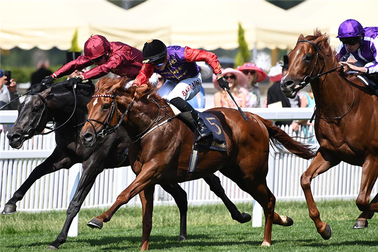 DESERT HERO winning the King George V Stakes at Royal Ascot in England.