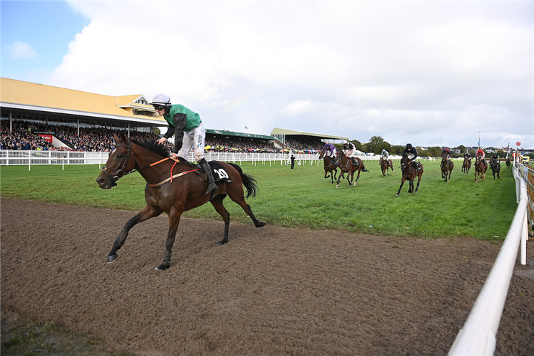 Desertmore House and Ricky Doyle win Kerry National at Listowel.