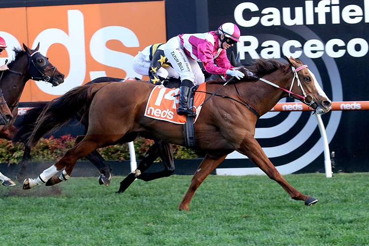 DEVOTED should appreciate the step-up to the 1400m
