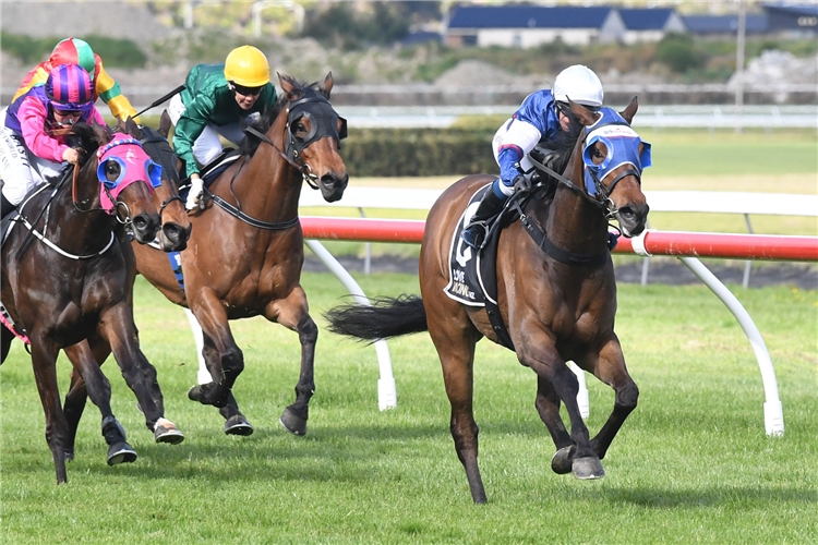 Impressive Diss Is Dramatic gives Latta another Thompson