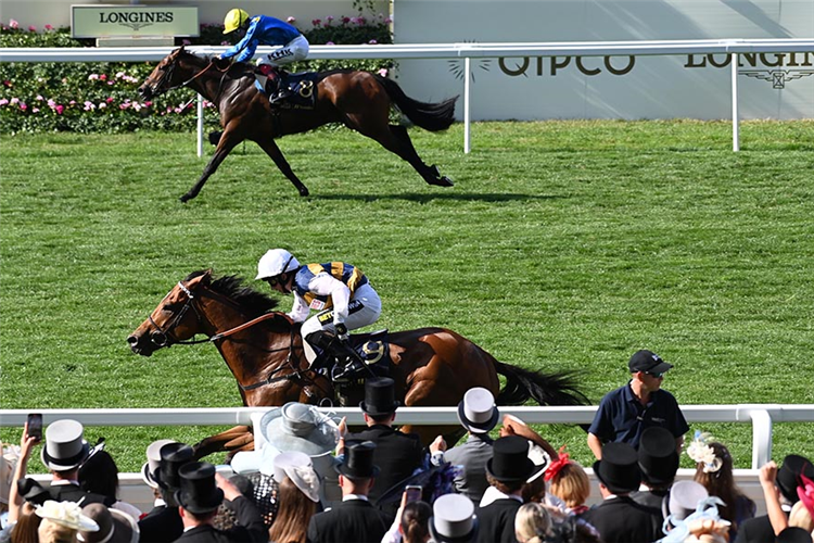 DOCKLANDS winning the Britannia Stakes at Royal Ascot in England.