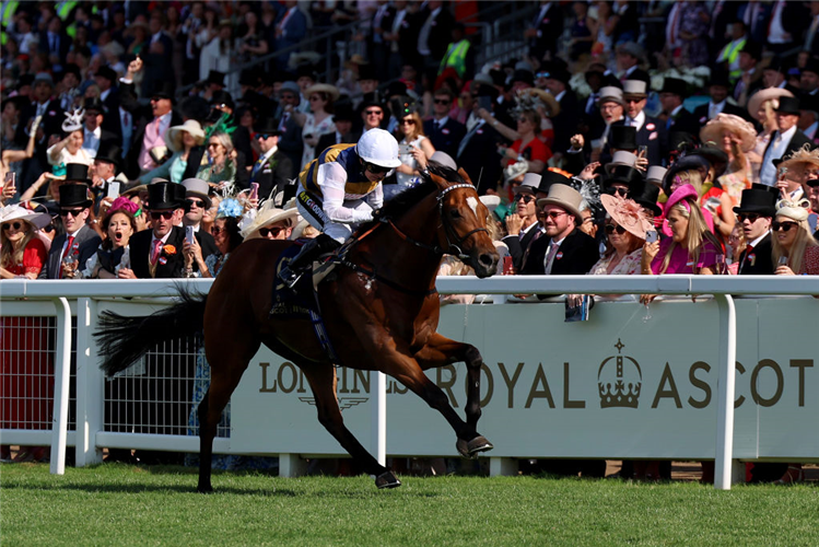 DOCKLANDS winning the Britannia Stakes at Ascot in England.