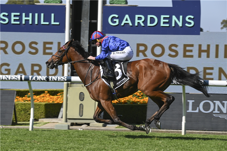 DUBAI HONOUR winning the RANVET STAKES at Rosehill in Australia.