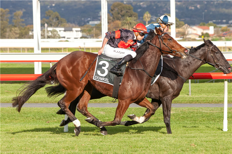 DUNKEL(outer) winning the Thomas Farms South Australian Derby