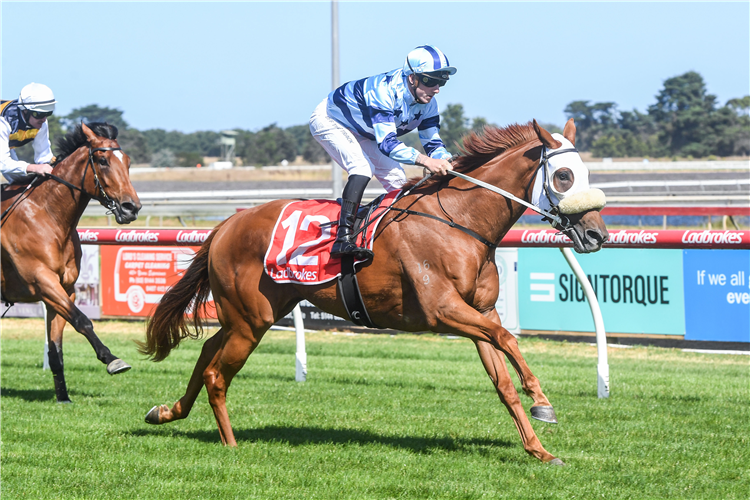 EASTERLY winning the Gippsland Live on TR FM Maiden Plate in Sale, Australia.