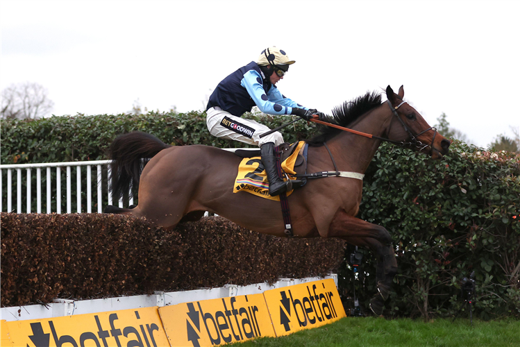 EDWARDSTONE winning the Betfair Tingle Creek Chase