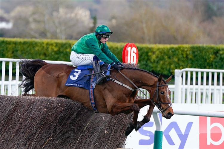 EL FABIOLO winning the Arkle Challenge Trophy Novices' Chase at Cheltenham in England.
