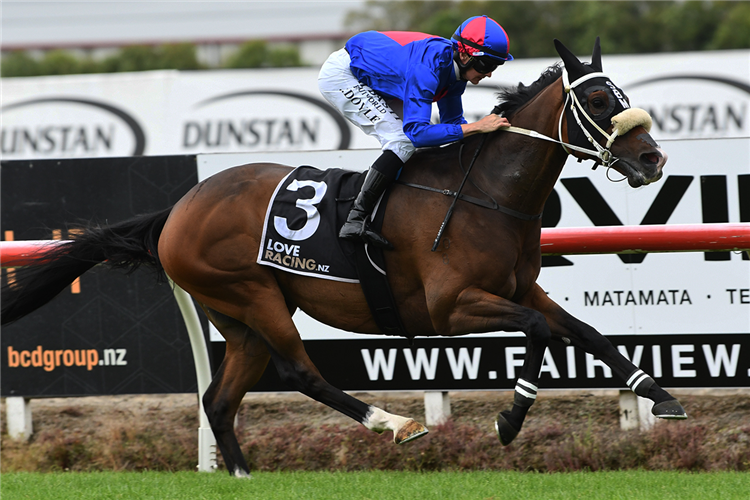 El Vencedor gets deserved stakes victory