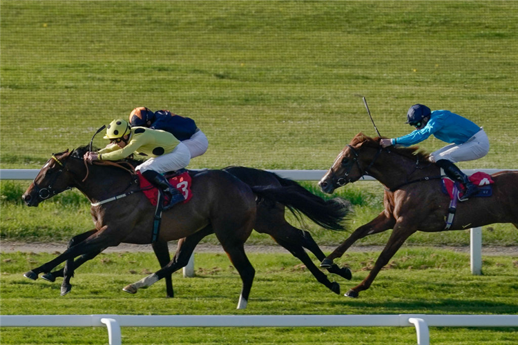 ELITE STATUS winning the National Stakes at Sandown Park in Esher, England.