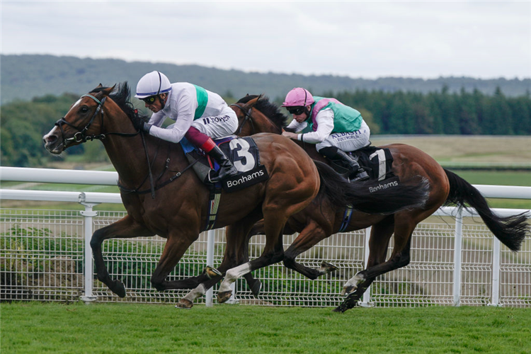 EPICTETUS winning the Thoroughbred Stakes at Goodwood in Chichester, England.