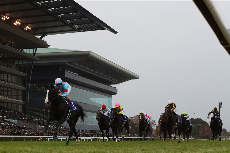EQUINOX winning the THE JAPAN CUP