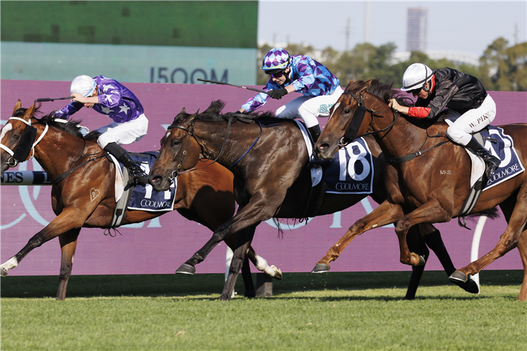 「埃斯皮奥纳」胜出库尔摩尔经典赛