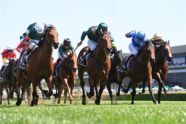 Straight Charge (left) was narrowly defeated by Espionage in the Breeders’ Plate.