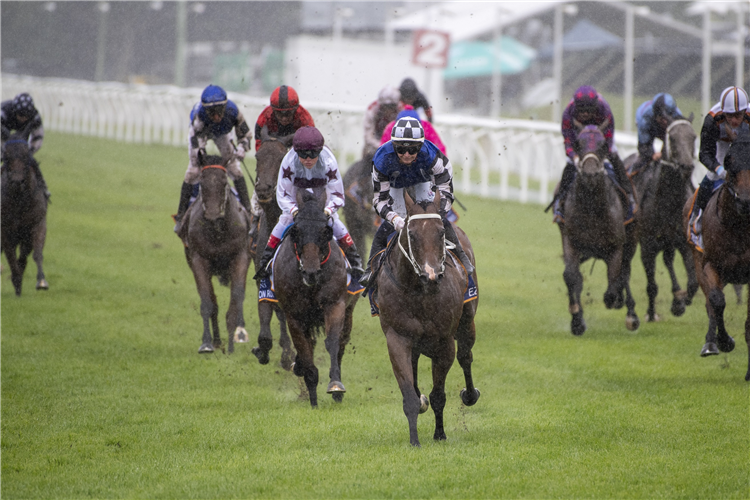 EZEKEIL winning the MAGIC MILLIONS COUNTRY CUP at Gold Coast in Australia.