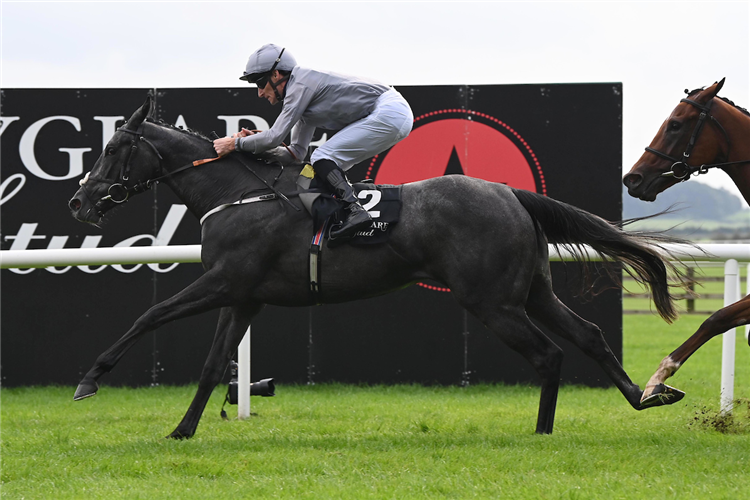 FALLEN ANGEL winning the Moyglare Stud Stakes (Group 1) (Fillies).