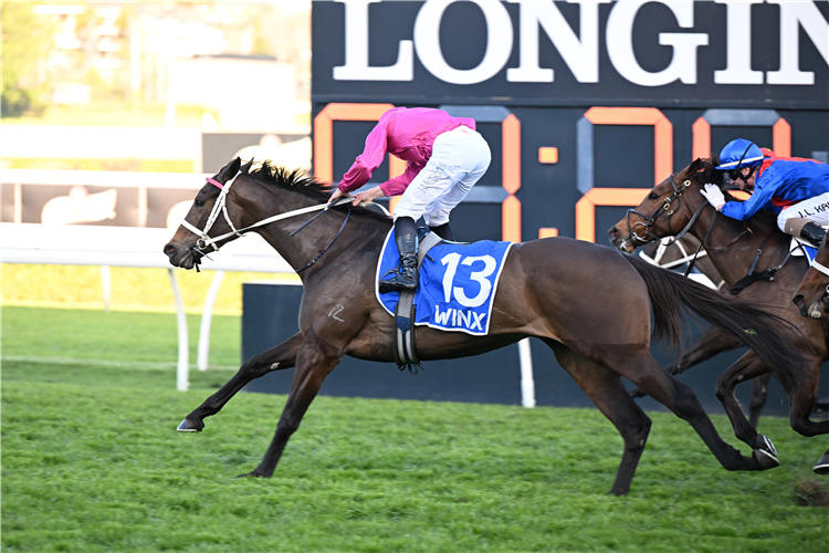 「女粉丝」胜出温克斯锦标赛