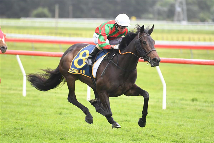 FARAGLIONI winning the DUNSTAN HORSEFEEDS AUCKLAND THOROUGHBRED BREEDERS' STAKES
