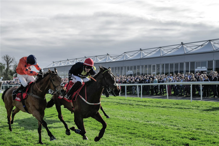 FASTORSLOW winning the Punchestown Gold Cup at Punchestown in Naas, Ireland.
