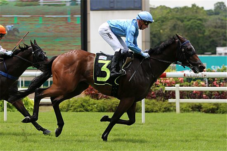 FEBRUARY winning the STARLIGHT 2021 STAKES RESTRICTED MAIDEN