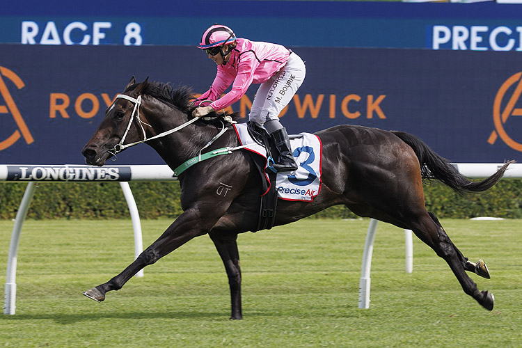 FELIX MAJESTIC winning the PRECISE AIR HANDICAP