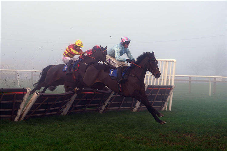 FILEY BAY winning the Weatherbys Stallion Book Handicap Hurdle at Wincanton under Richie McLernon in December 2022