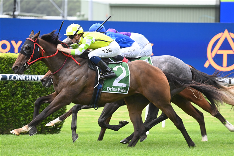 Fire Tribe and Monfelicity strike at Randwick