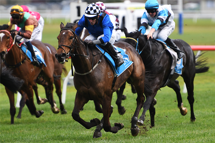 Fon Memories winning at Avondale.