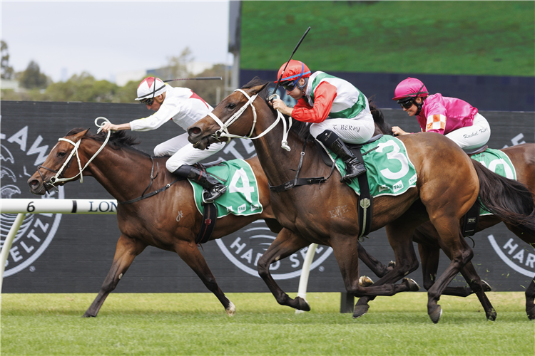 FRUMOS winning the TAB HANDICAP at Rosehill in Australia.