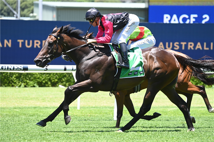 GALLANT STAR