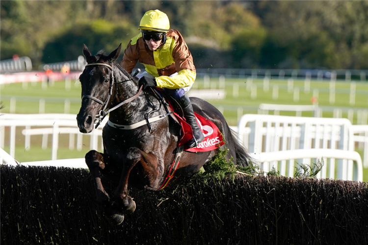 GALOPIN DES CHAMPS in action during the Punchestown Gold Cup at Punchestown in Naas, Ireland.