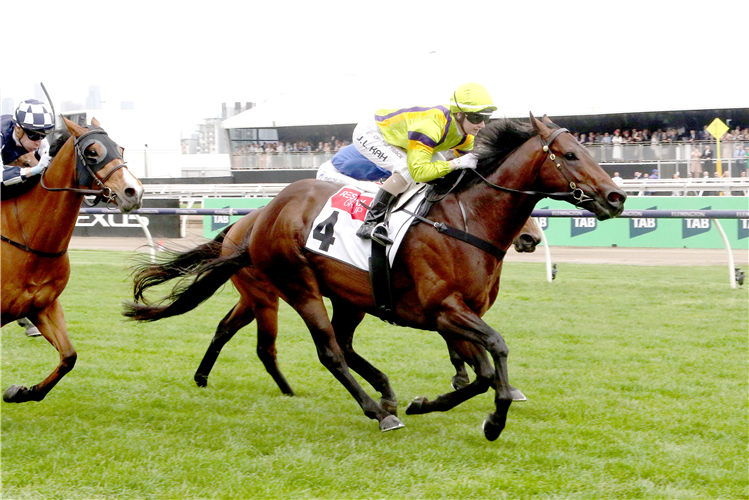 GENERAL BEAU winning the Resimax Group Always Welcome Stakes at Flemington in Australia.