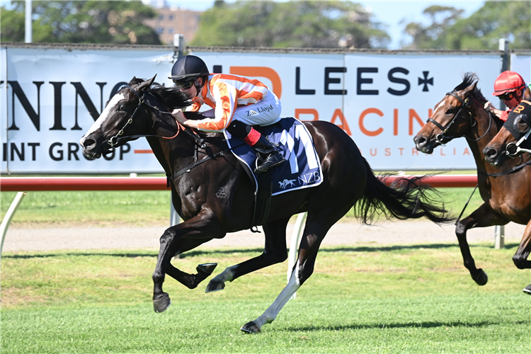 GENZANO winning the NEW ZEALAND BLOODSTOCK 3YO SPRING STAKES [GROUP 3] at Newcastle in Australia.