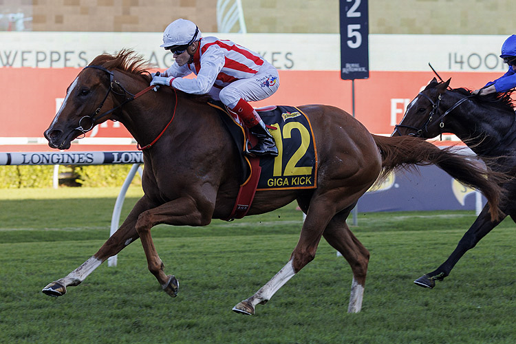 GIGA KICK winning the SCHWEPPES ALL AGED STAKES