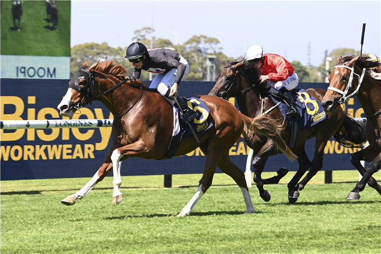 GIN MARTINI winning the BISLEY WORKWEAR EPONA STAKES at Rosehill in Australia.