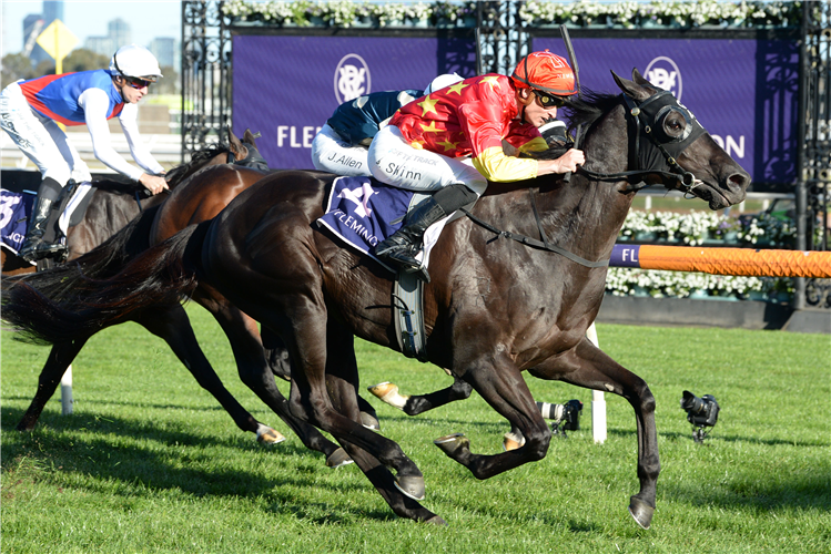 GOLD BULLION winning the Penfolds Victoria Derby Preview at Flemington in Australia.