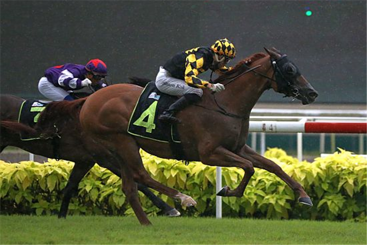 GOLDEN MONKEY winning the FLAX 2012 STAKES KRANJI STAKES A